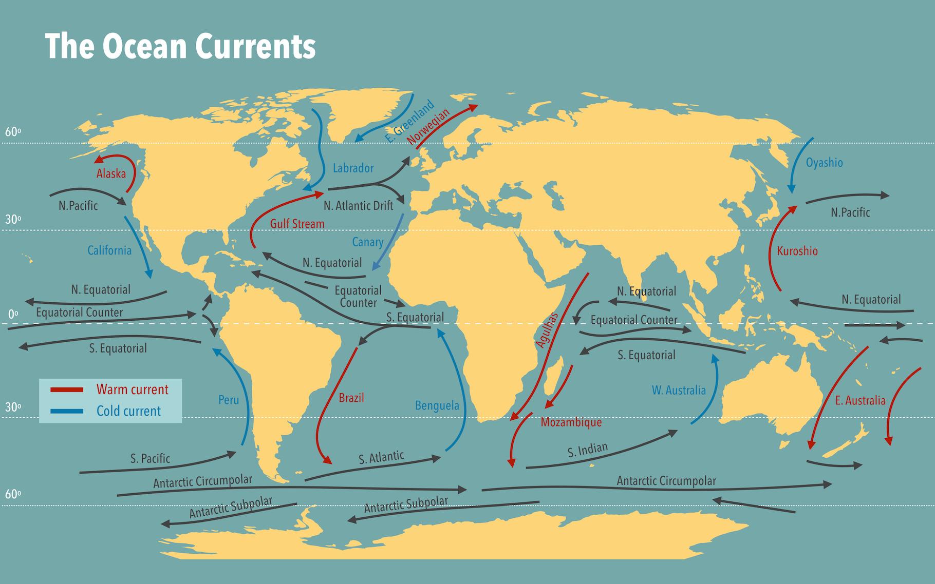 Map of the world's warm and cold ocean currents